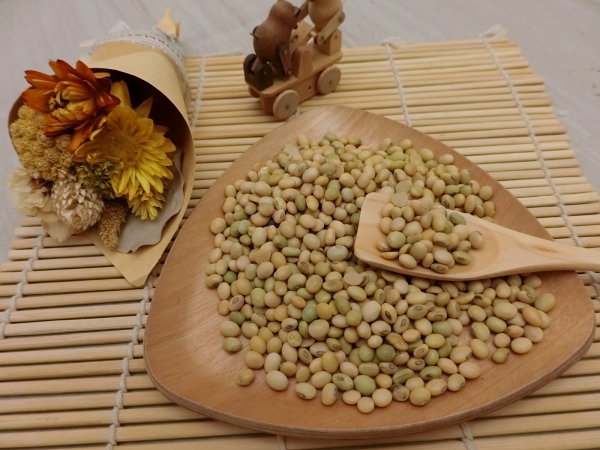 台灣青皮豆