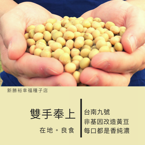 台南9號非基因改造黃豆