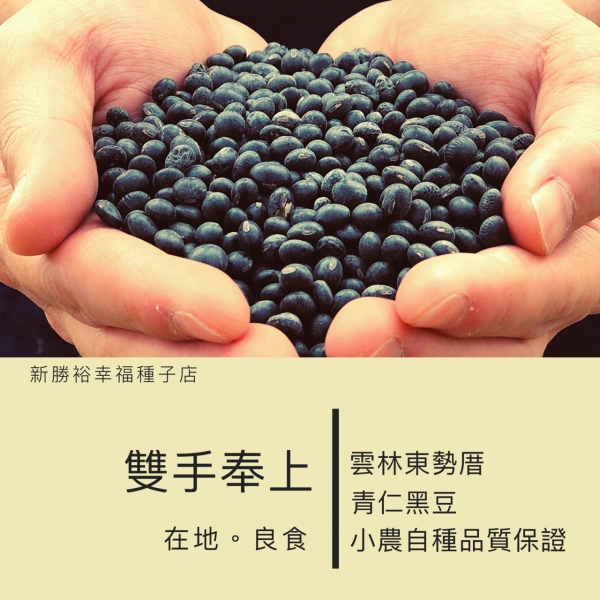 台灣黑豆